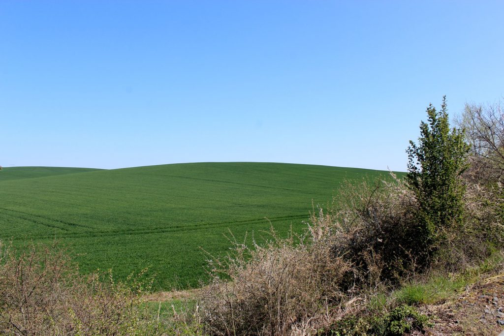 Les vélorails du grand est